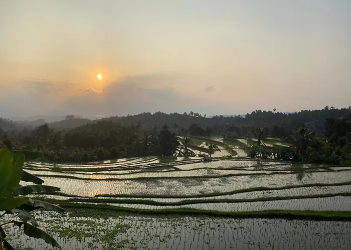 Wimala * Munduk